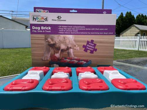 Nina Ottosson For Outward Hound Dog Brick Puzzle Toy