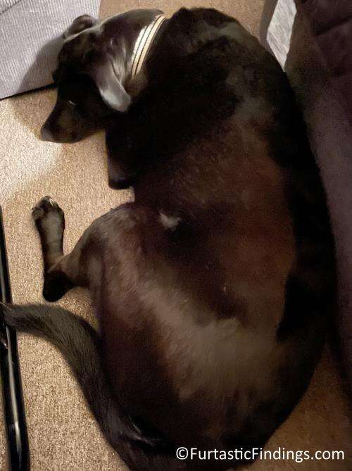 Out From Under The Desk