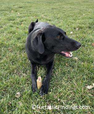 Eating Her Busy Bone