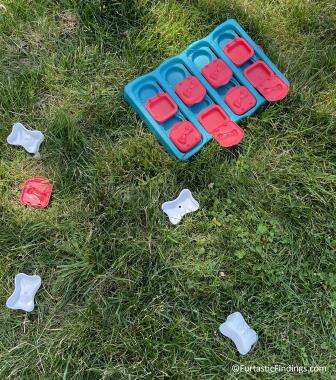 The Outward Hound Dog Brick Puzzle Toy After Our Dog Used It