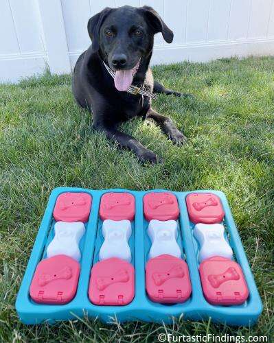 This Outward Hound Brick Puzzle Toy Can Help "Exercise Your Dog's Mind"