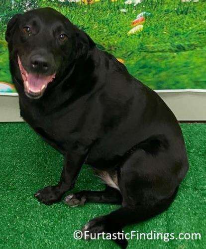 Eye Wipes Can Help Clean Discharge Out Of Eyes From Allergies