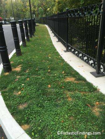 Dog Run at the Hyatt Place, Poughkeepsie, NY