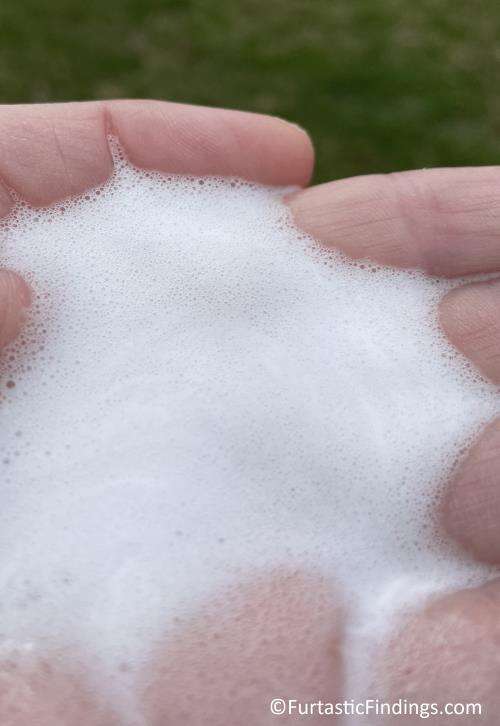 John Paul Oatmeal Waterless Foam