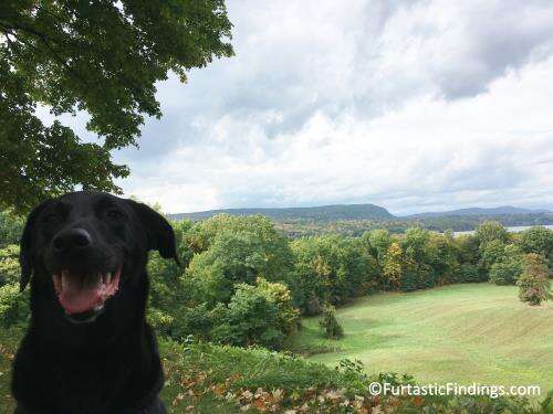 On the grounds of the Vanderbilt Mansion National Historic Site