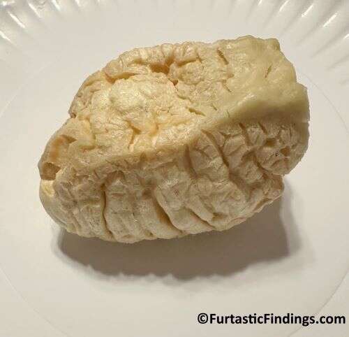 Himalayan Chew When It Comes Out Of The Microwave